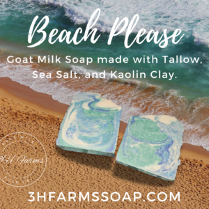 Beach Please Goat Milk Soap Bar (Preorder)