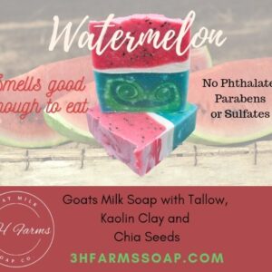 Watermelon Goat Milk Soap (Preorder)